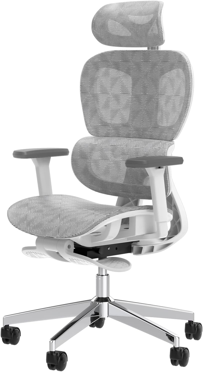 Ergo3D Ergonomic Office Chair �� High Back Mesh Desk Chair with 3D Adjustable Armrests, Wheels, for Home and Office (Black)